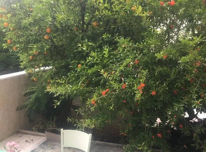 Apartmán Concordia Dubrovník