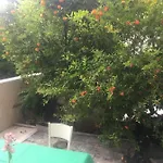 Apartman Concordia Dubrovnik