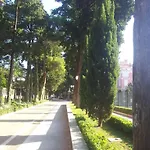 Concordia دوبروفينك