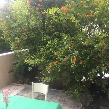 Apartament Concordia Dubrownik