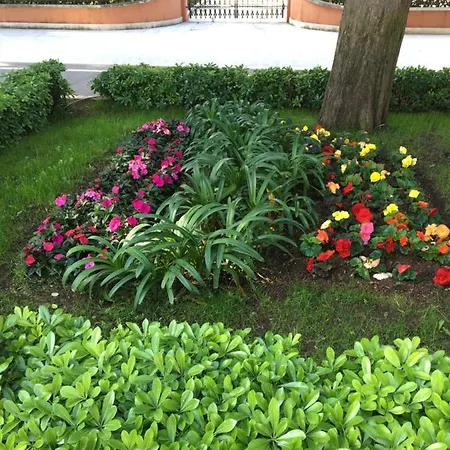 Apartament Concordia Dubrownik