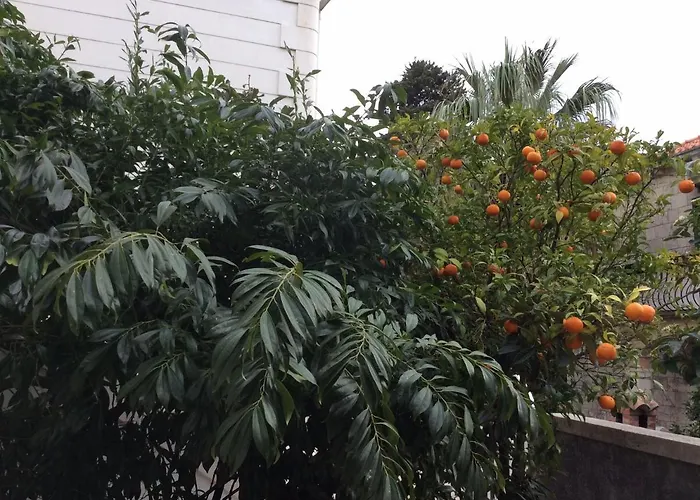 Apartment Concordia Dubrovnik