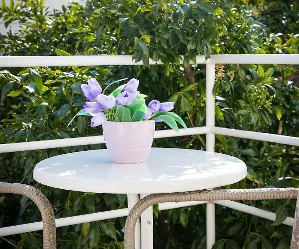 Concordia * Dubrovnik