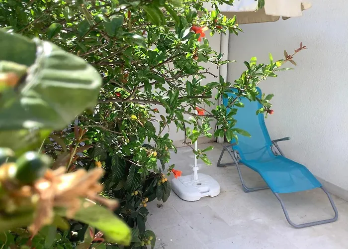 Concordia Apartment *