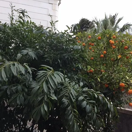 아파트 Concordia 두브로브니크