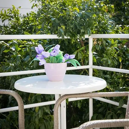 Concordia * 두브로브니크