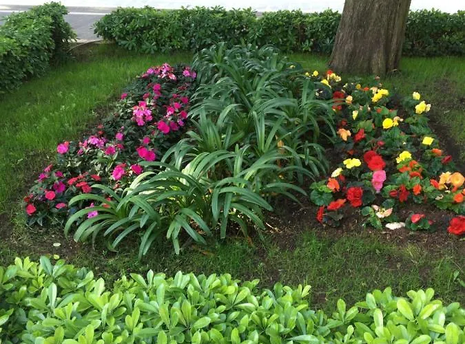 Apartment Concordia Dubrovnik